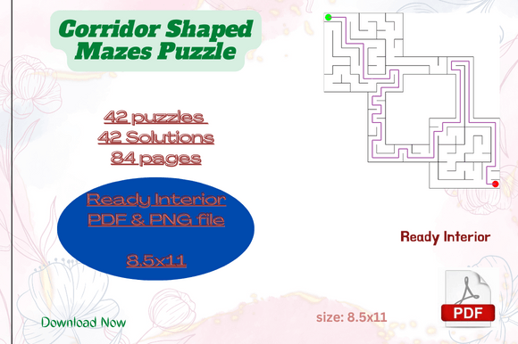 A Detailed Look at the Corridor Mazes Puzzle with Solutions Interior